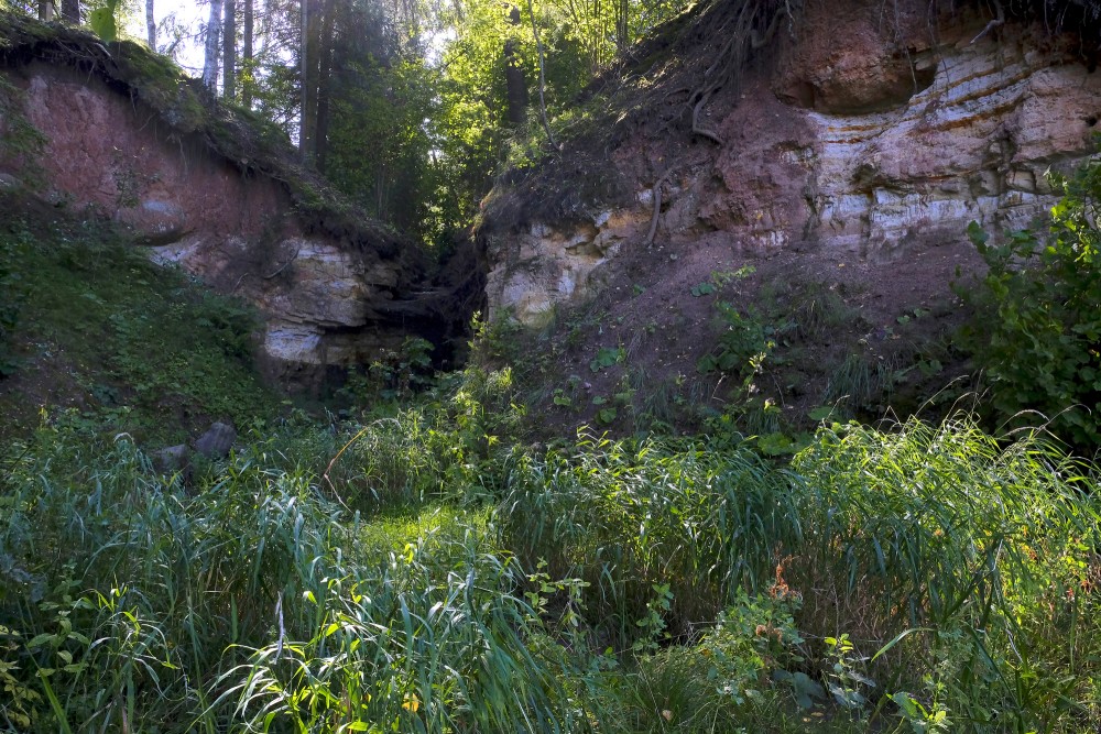 Omiķi Ravine