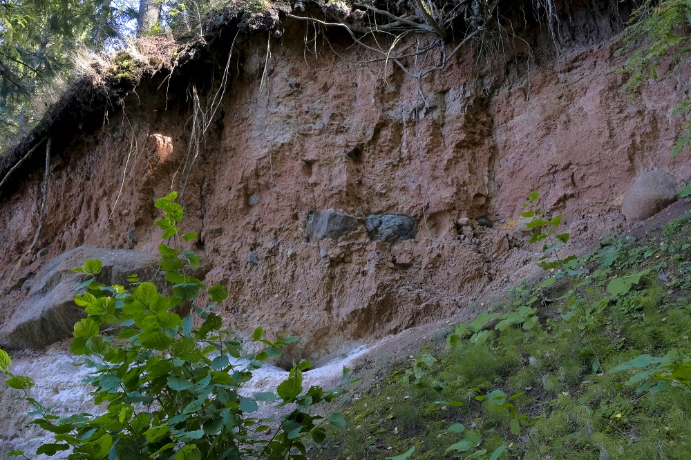 Outcrops in Omiķi Ravine