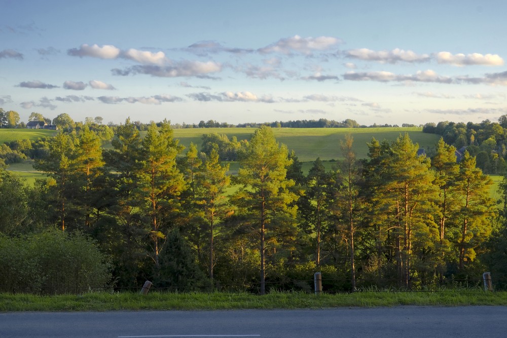 View from Greiļi Hill to the Ancient Valley of Abava