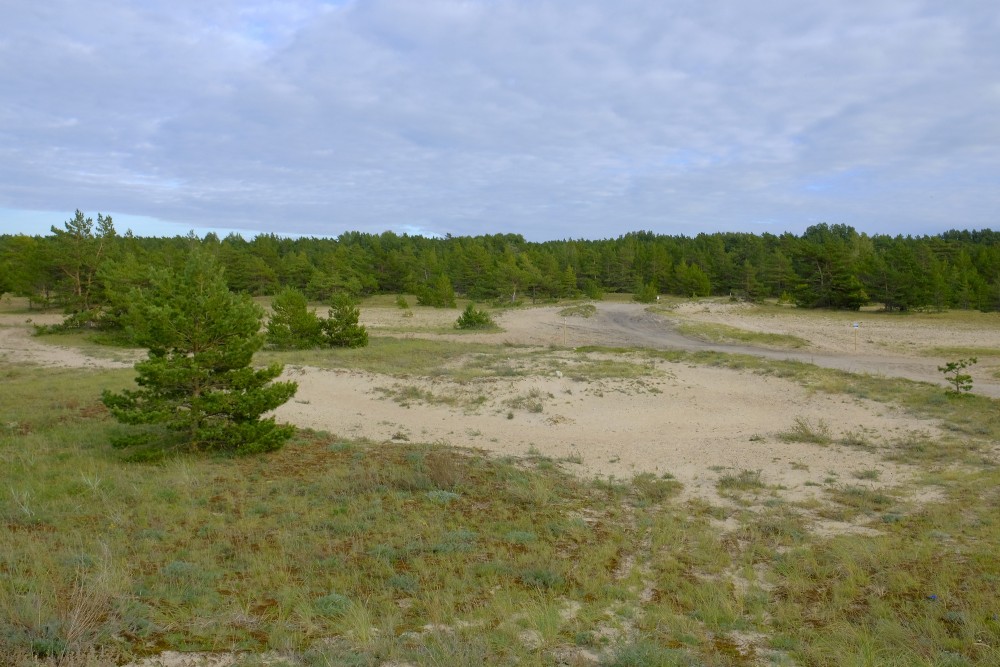 Seaside landscape