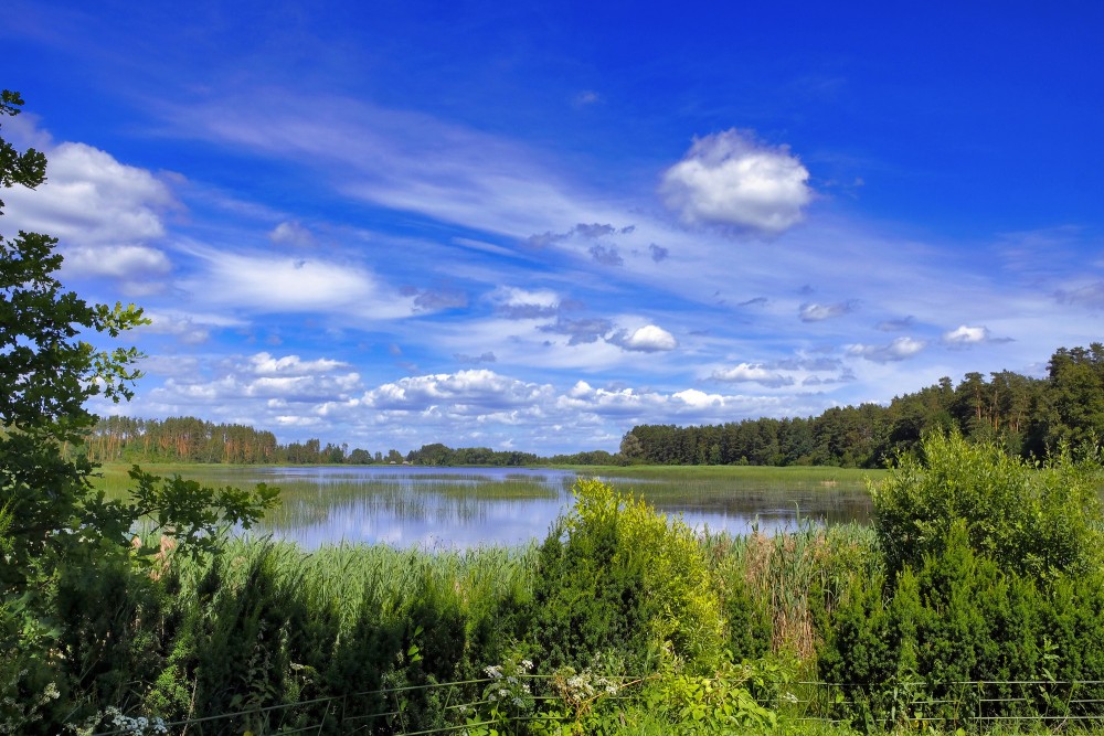 Žvelgaičiai lake and forest landscape along Žagare esker educational trail