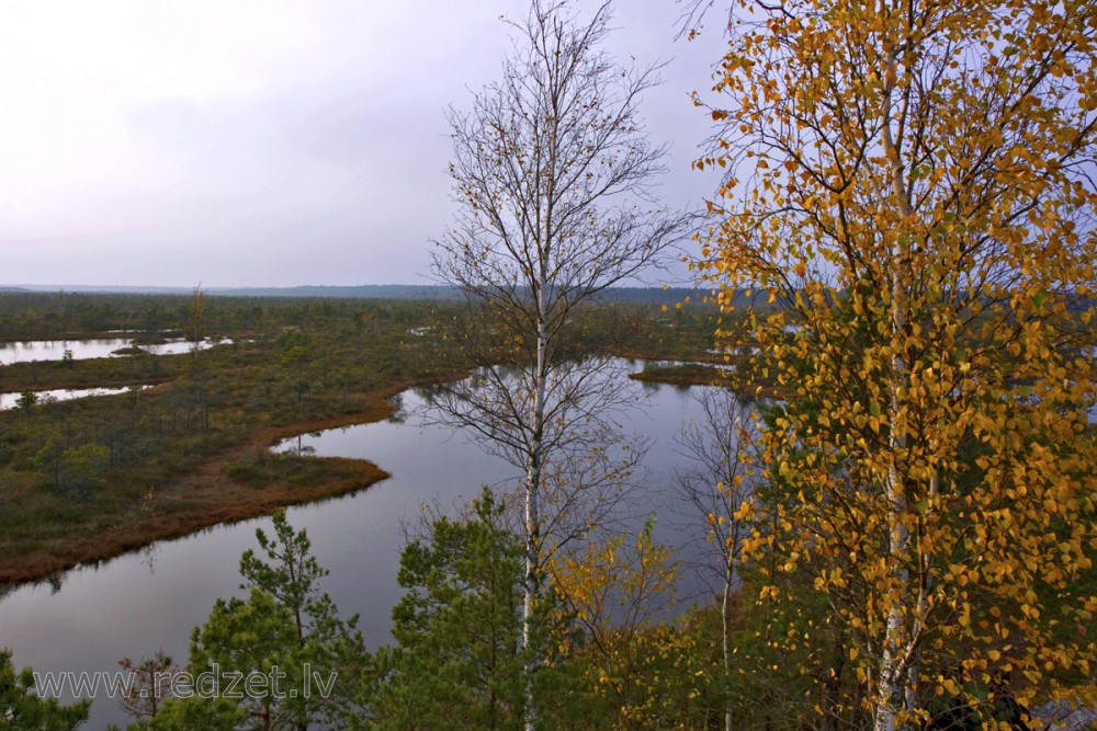 Great Ķemeri Bog Landscape