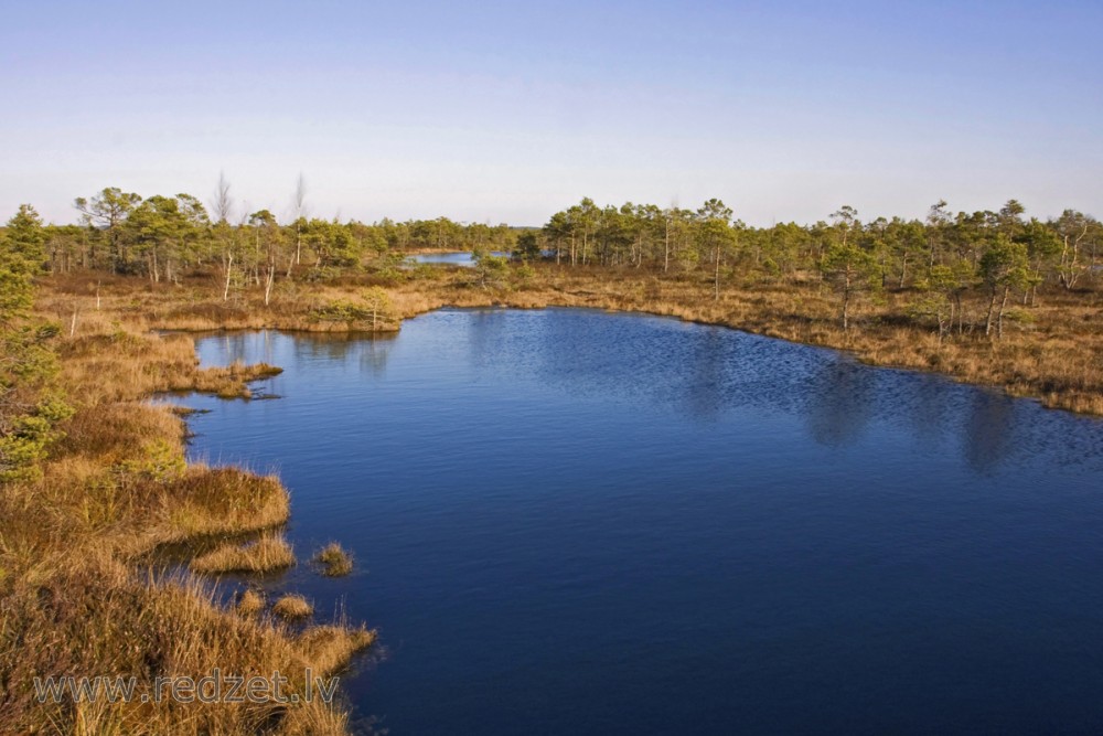 Great Ķemeri Bog Landscape