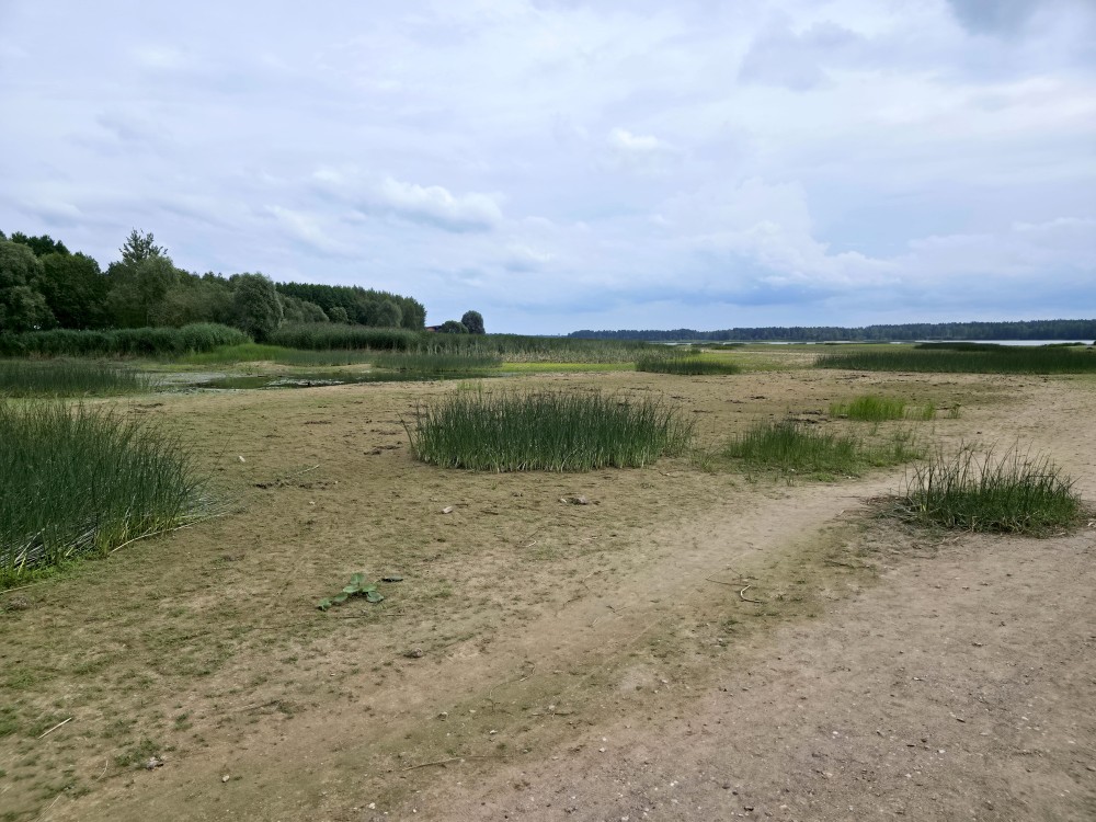 Daugavas nolaistā gultne ar niedrēm un mākoņainām debesīm pie Ikšķiles