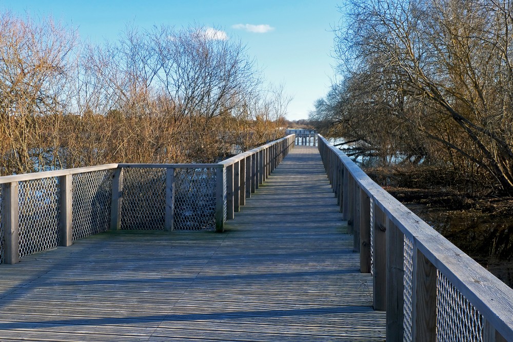 Landscape of Miezīte Pond Walking Boardwalk