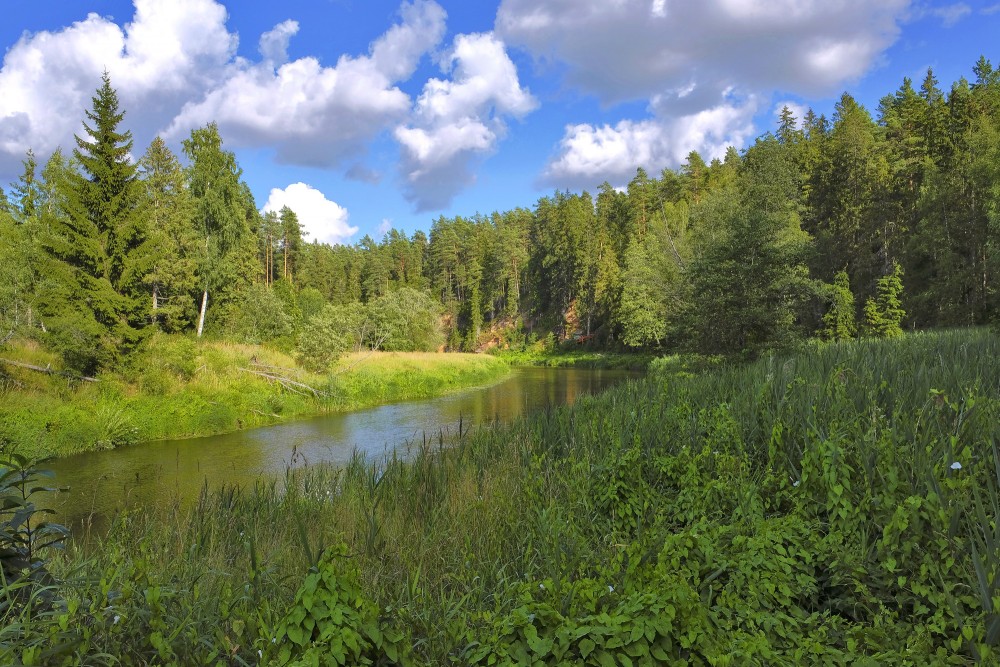 Salacas ainava, tālumā Dauģēnu klintis