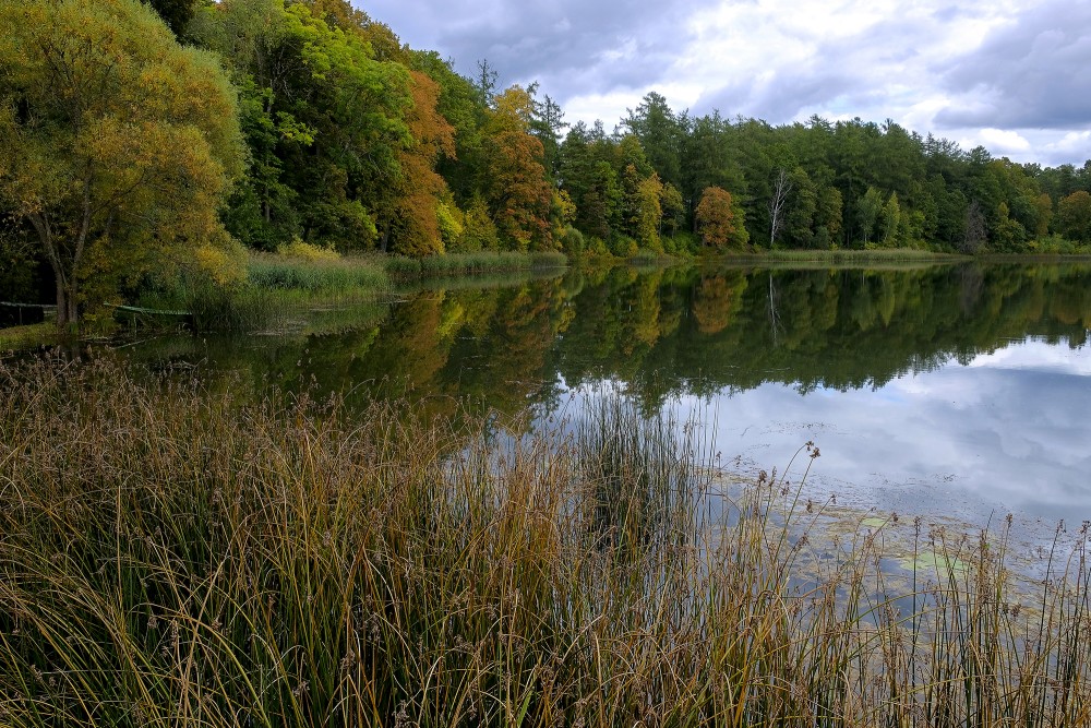Kazdanga Dzirnezers Lake Autumn Landscape