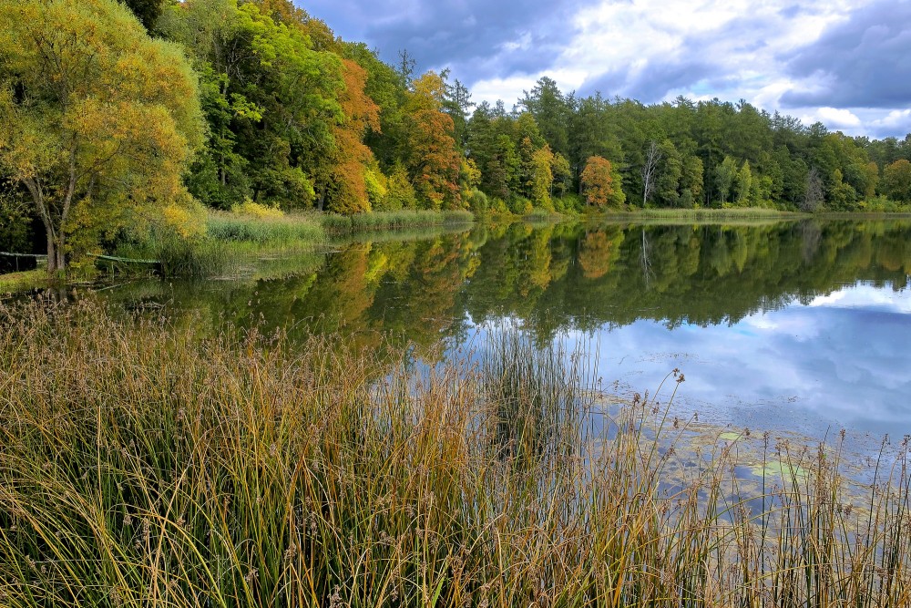 Kazdangas Dzirnezera rudens ainava