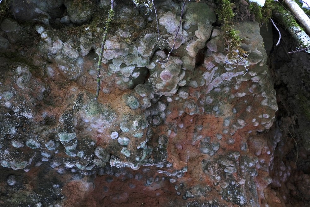 Mazrenda Outcrops