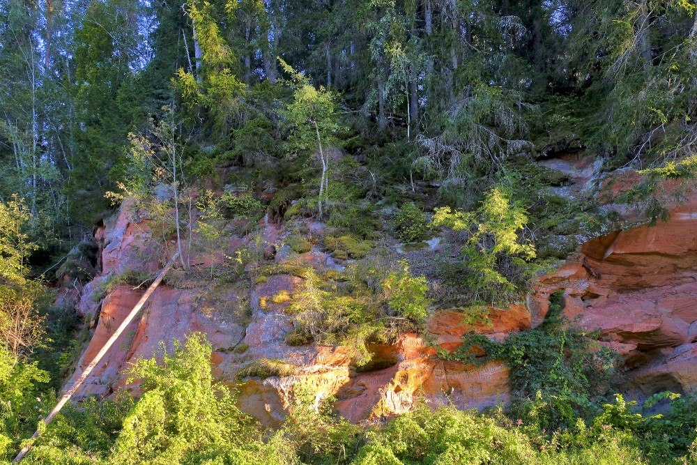 Kazu iezis (Paeglīšu iezis, Sarkanās klintis, Kazu iezis un arī Kāzu iezis)