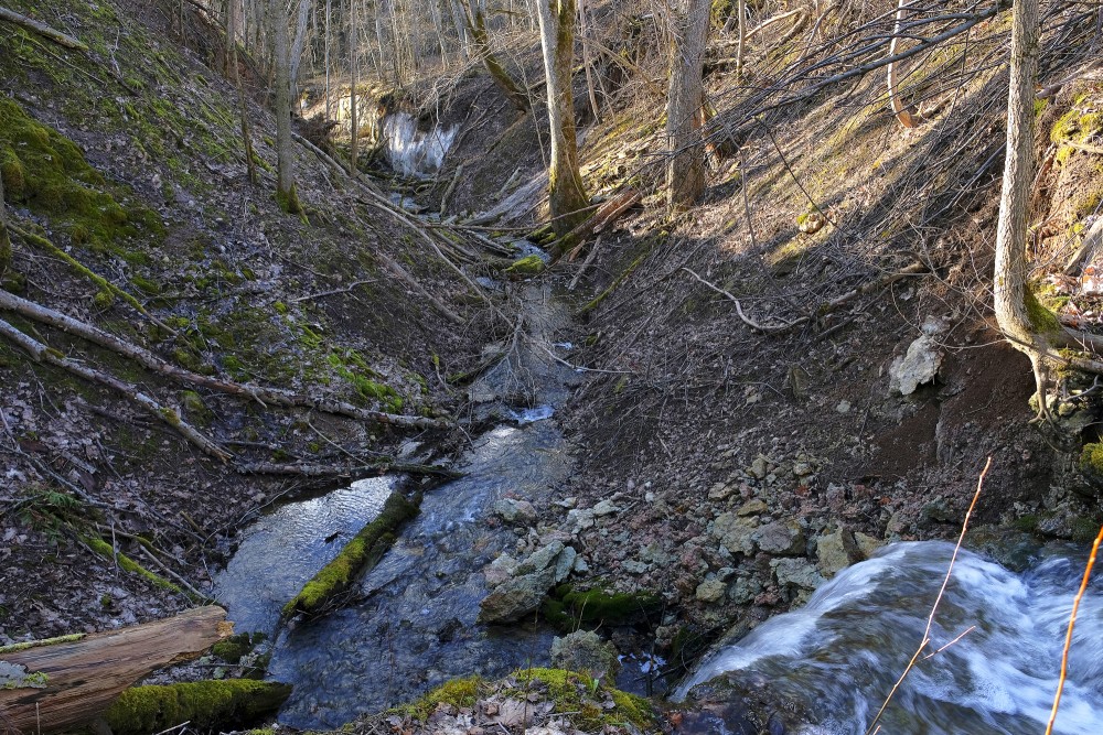 Nurmižu gravu rezervāts