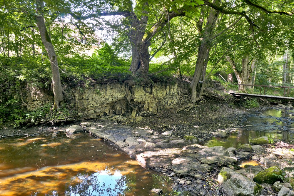 Dolomite Outcrops Along the Lower Reaches of Ivande River