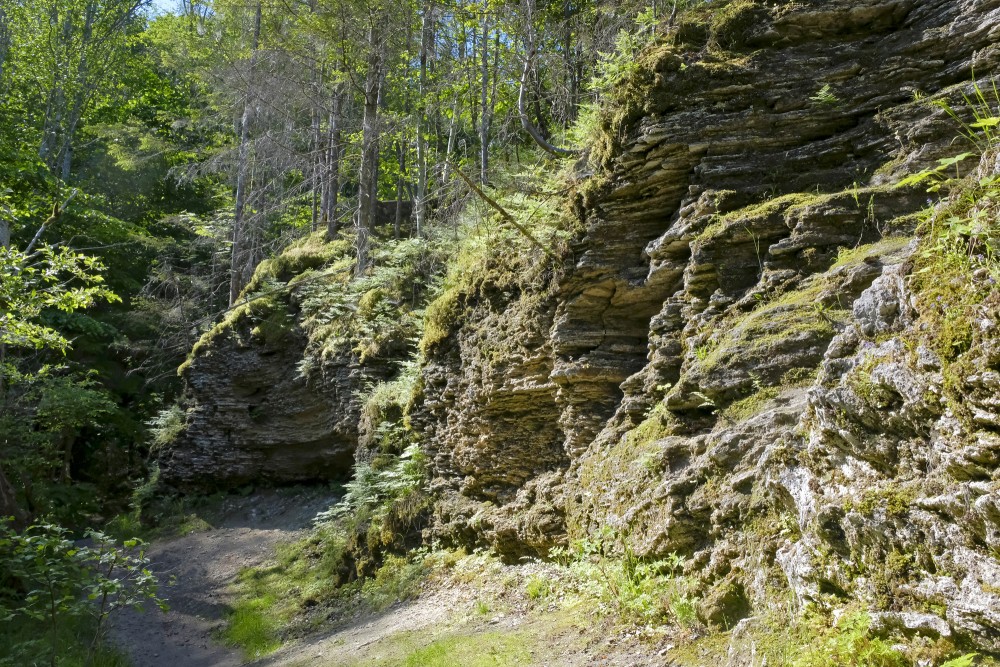 Kazu (Goat) Ravine, Latvia