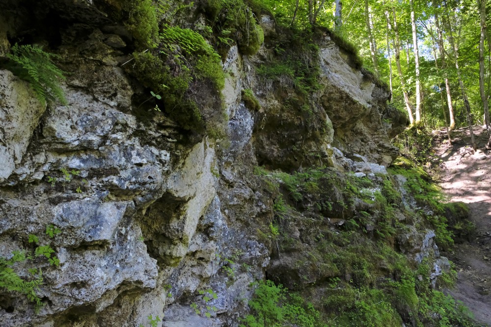 Kazu (Goat) Ravine, Latvia