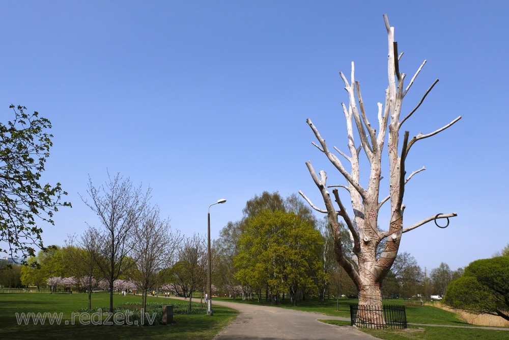 Dižgoba Uzvaras parkā Rīgā