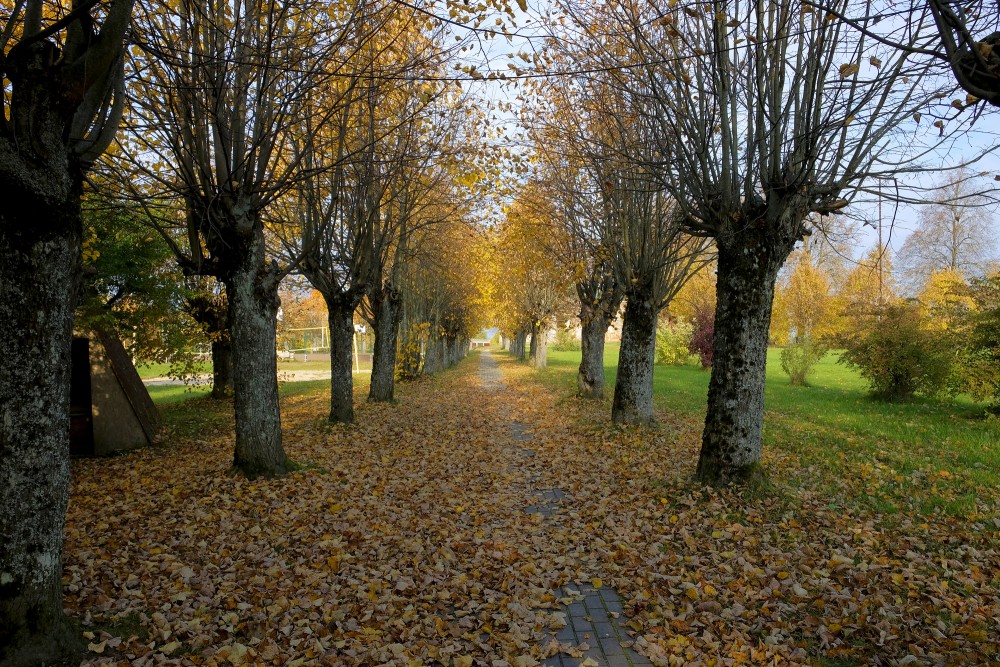 Alley Leading To Umurga Orthodox Church