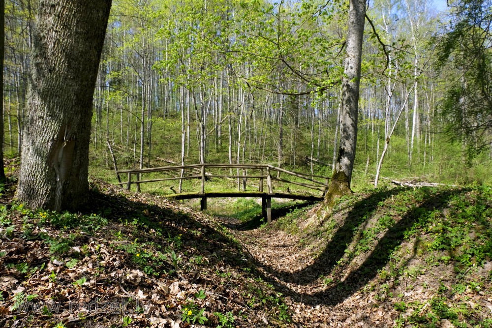 Vilce Ravine Spring Landscape