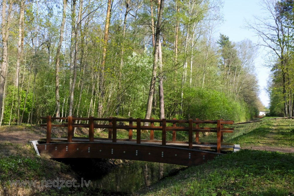 Langervaldes meža tiltiņš pie Jaunā ceļa