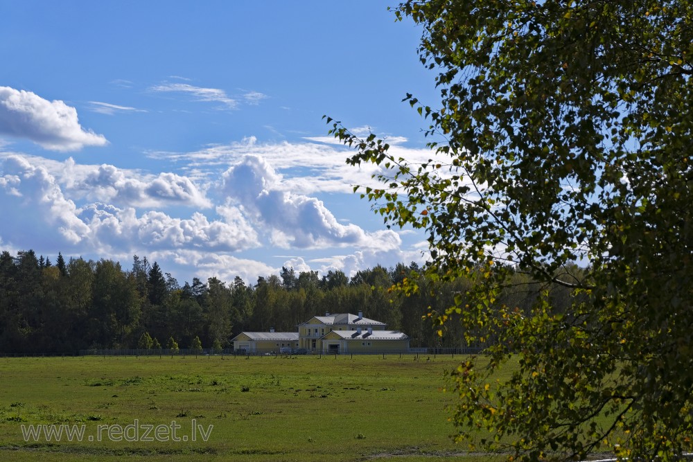 Mušķi Neighborhood Landscape