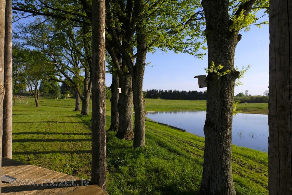 Landscape of Barbele Boys School ''Roots and Wings'' Neighborhood 