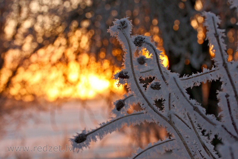 Winter morning in country house