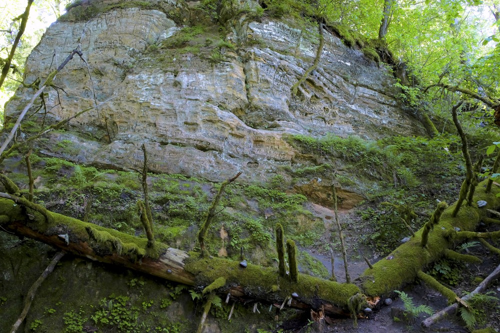 Smilšakmens atsegums pie Inčukalna Velnalas