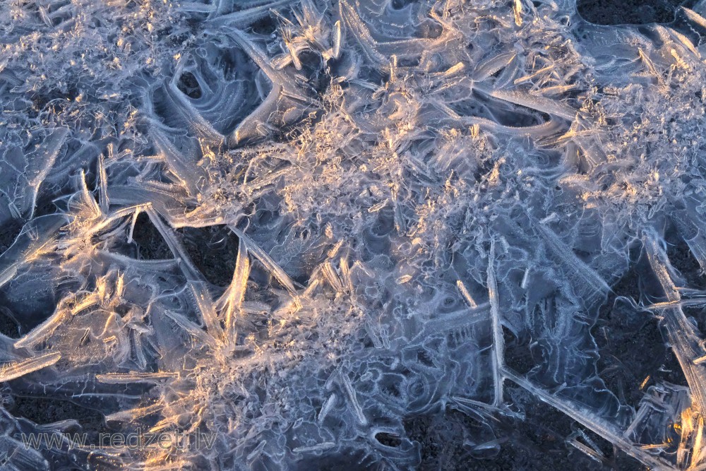 Ice Lace