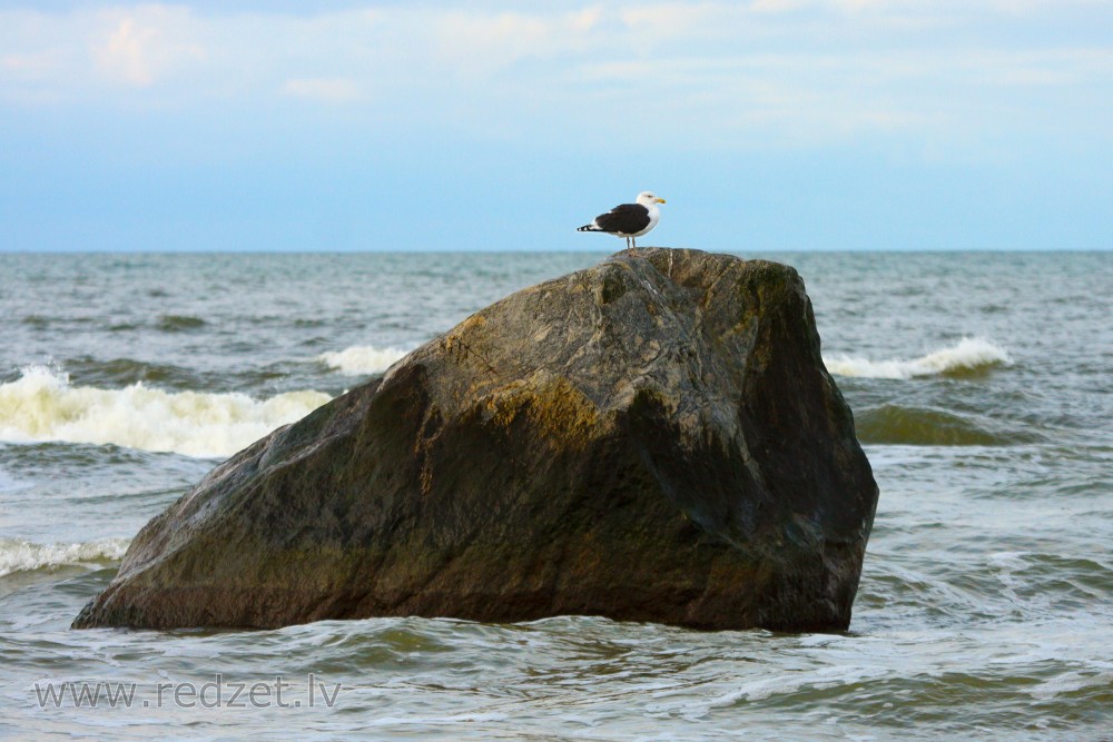 Pāvilostas Lielais Jūrakmens Pāvilostas Lielais Jūrakmens