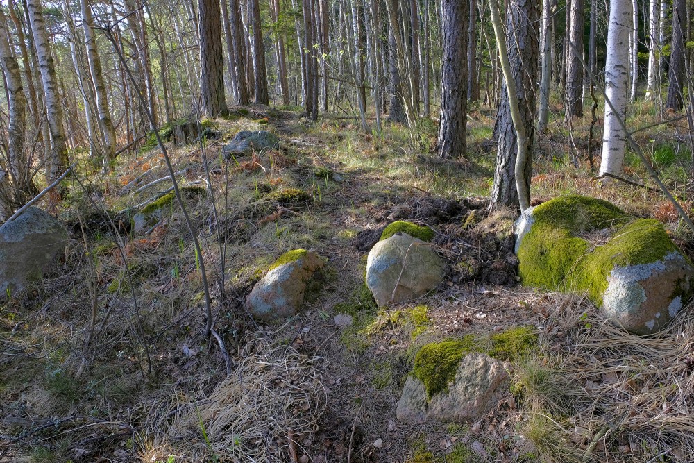 Akmeņi mežā