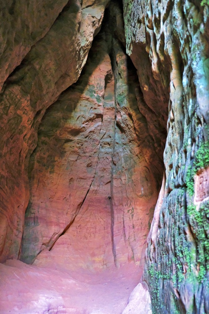 Pētera alas iekšpuse