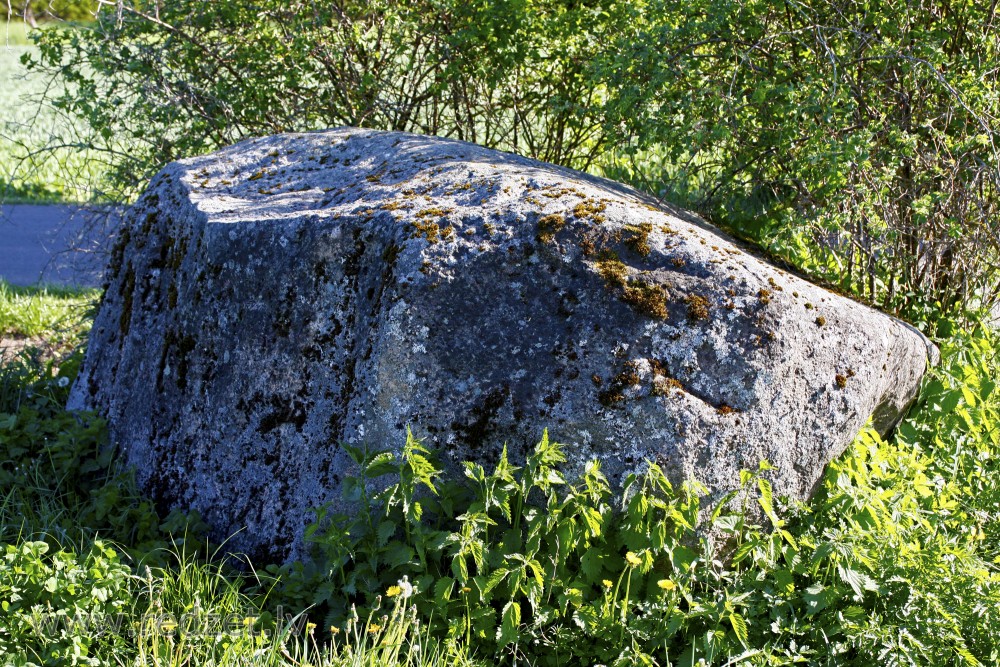 Ventkalni Cup-Marked Stone, Latvia