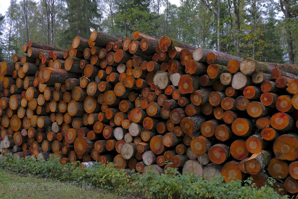 Black Alders Logs