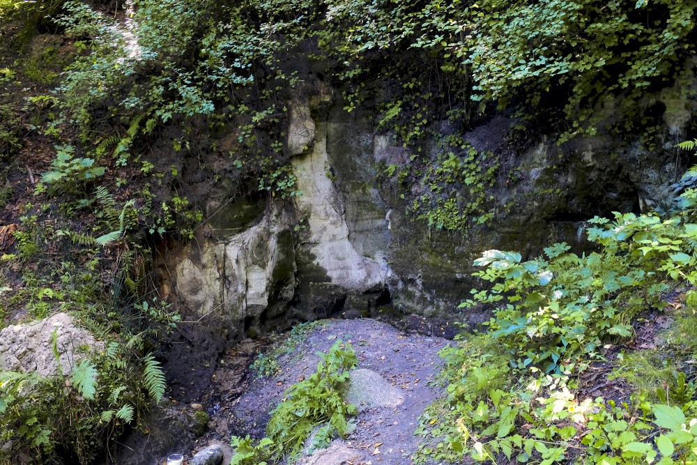 Mazā Ellīte, Liepas