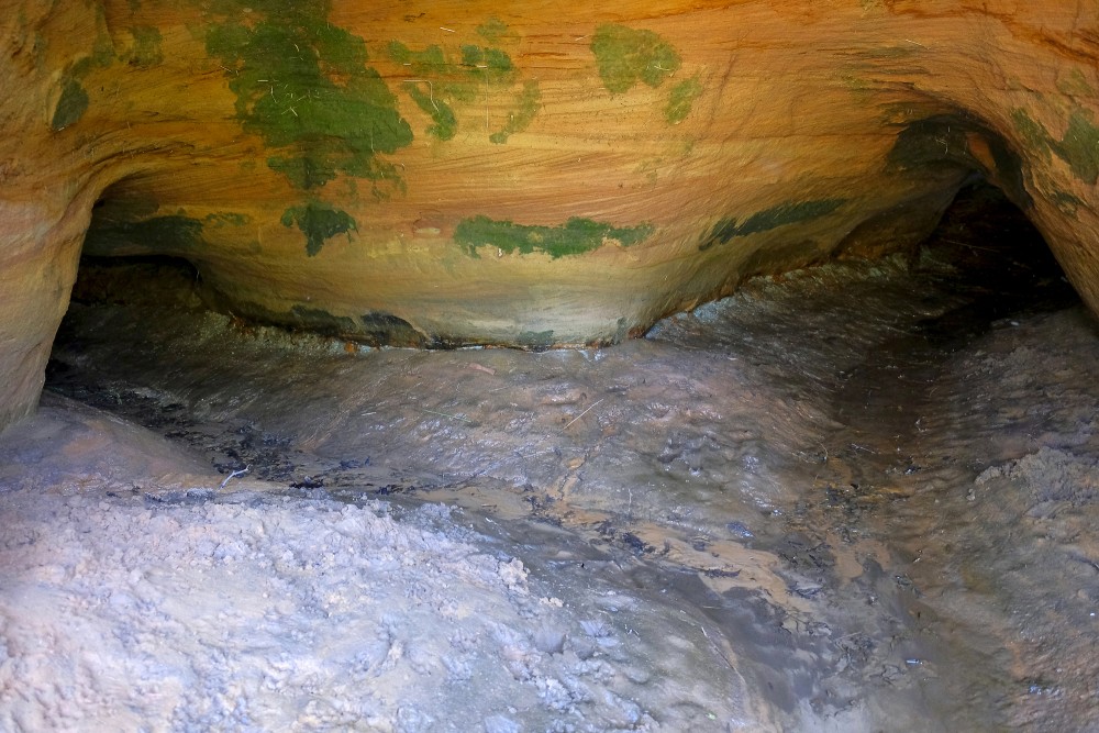 Vīksnas Cave
