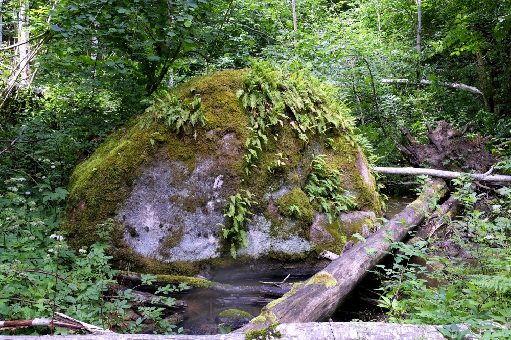 Zāģeru velnakmens