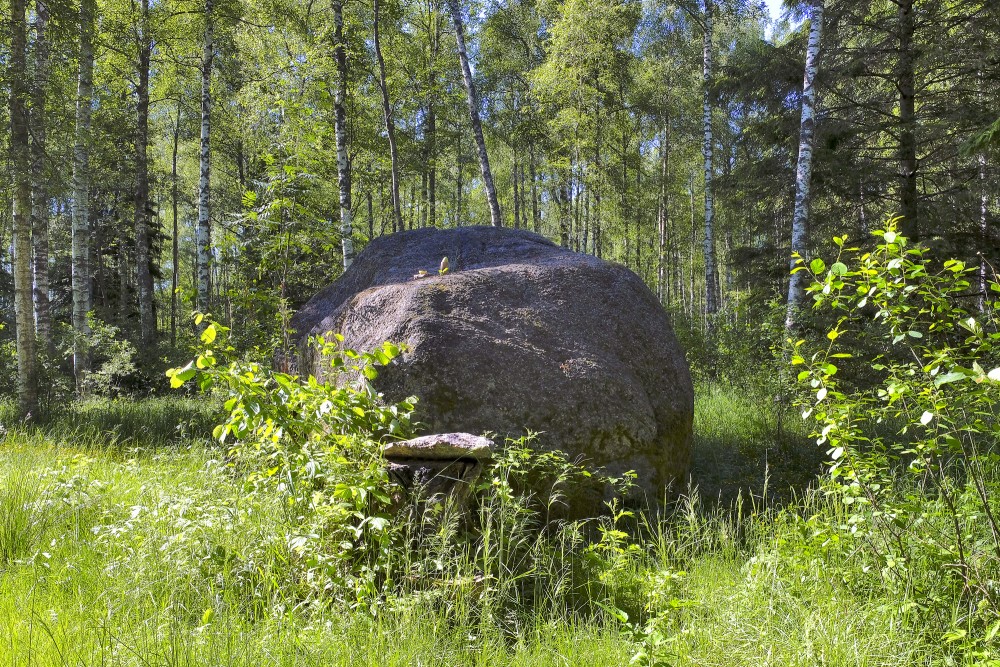 Zeltapses (Zeltapšu) laukakmens, Upsīts