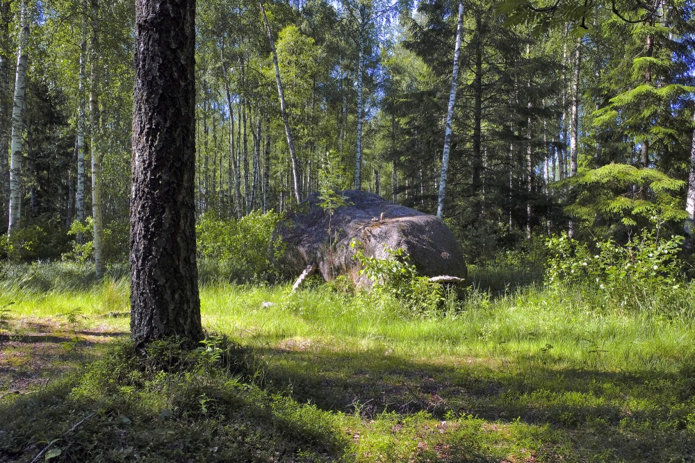 Zeltapses (Upsīšu) dižakmens Zeltapses (Upsīšu) dižakmens