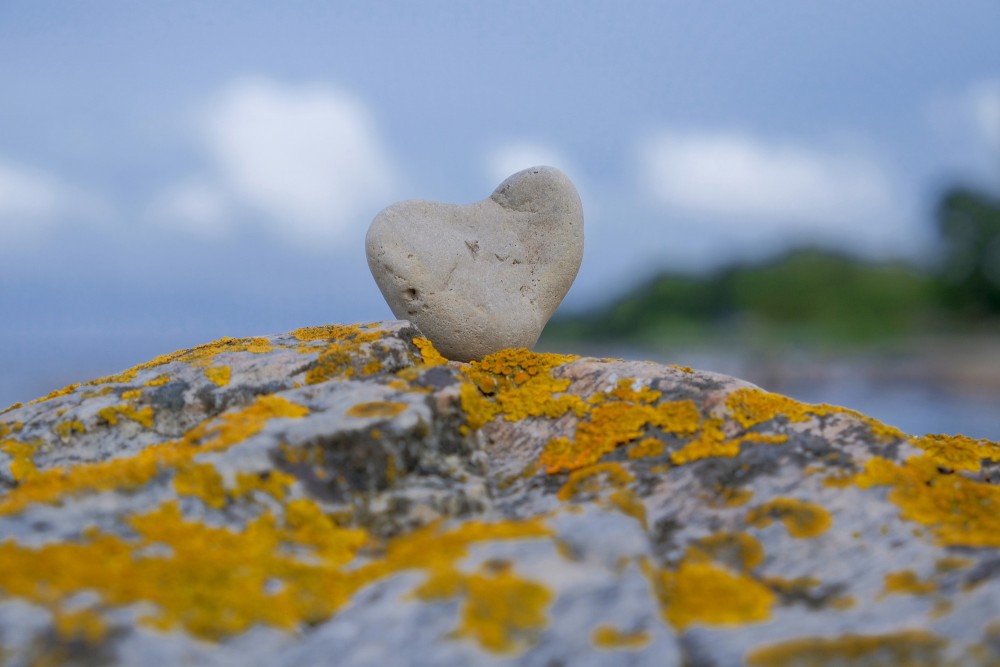 Sirds formas akmentiņš