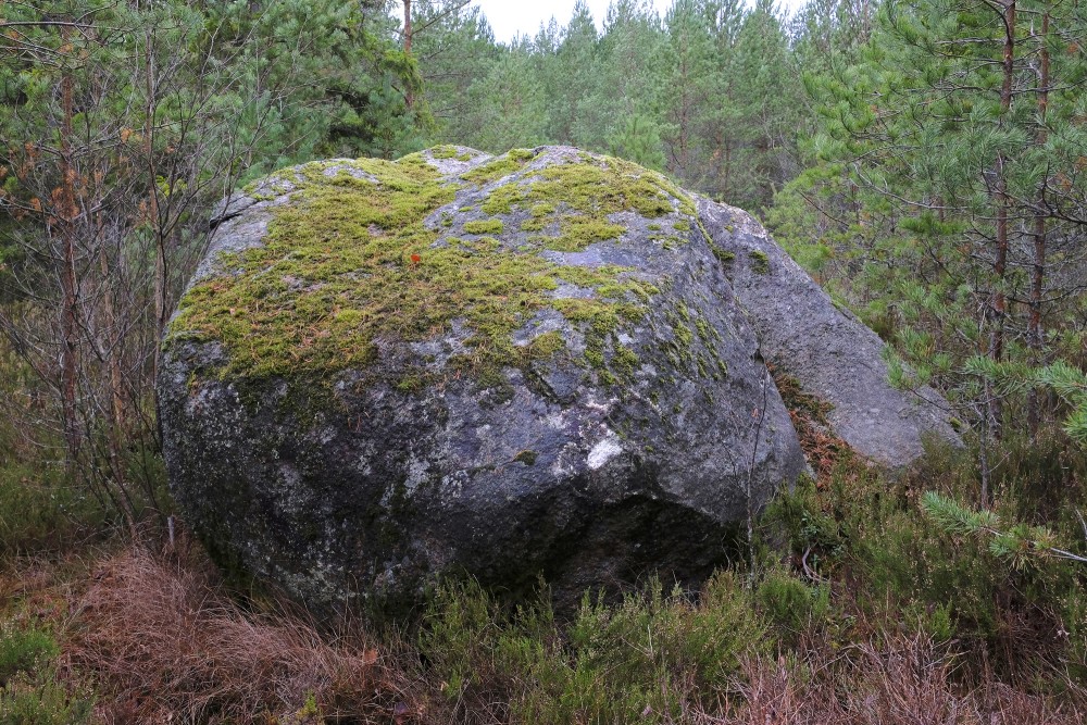 Dūmele Secular Stone
