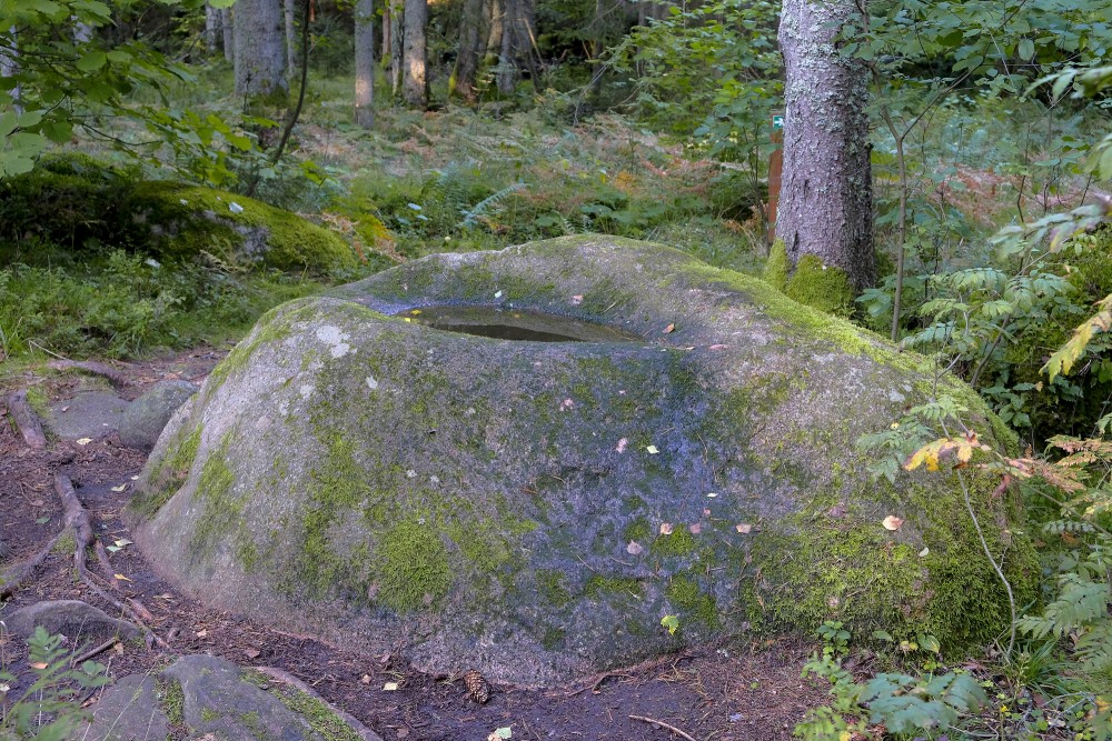 Natural monument "Kaltenes Kalvas" (Stone Ridges)