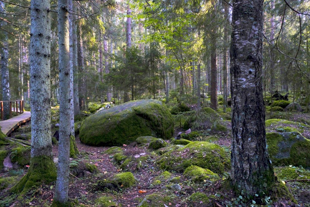 Akmeņi, dabas taka Kaltenes kalvas