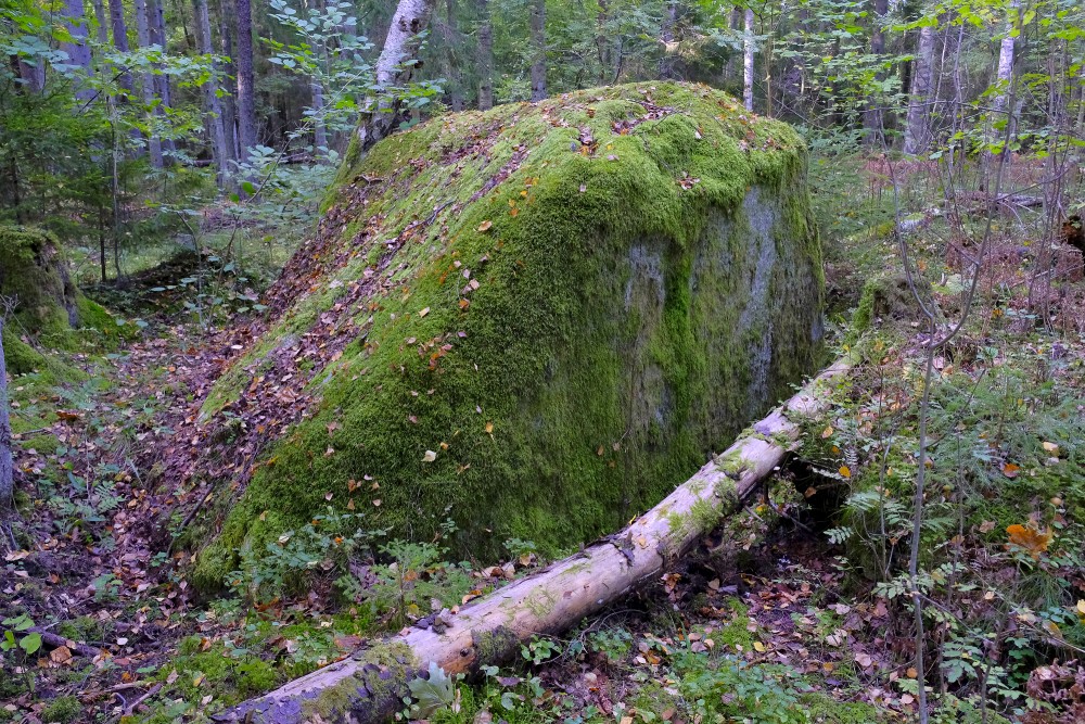 Silkalēju Zviedru akmens