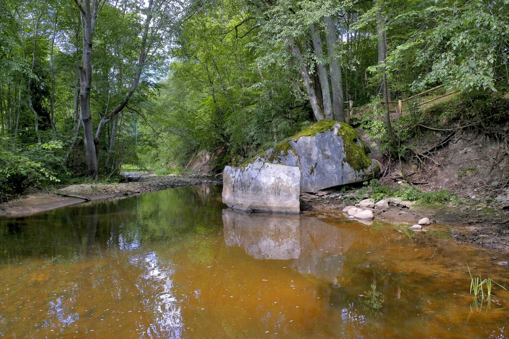 Žākļu dižakmens, Vizlas upe