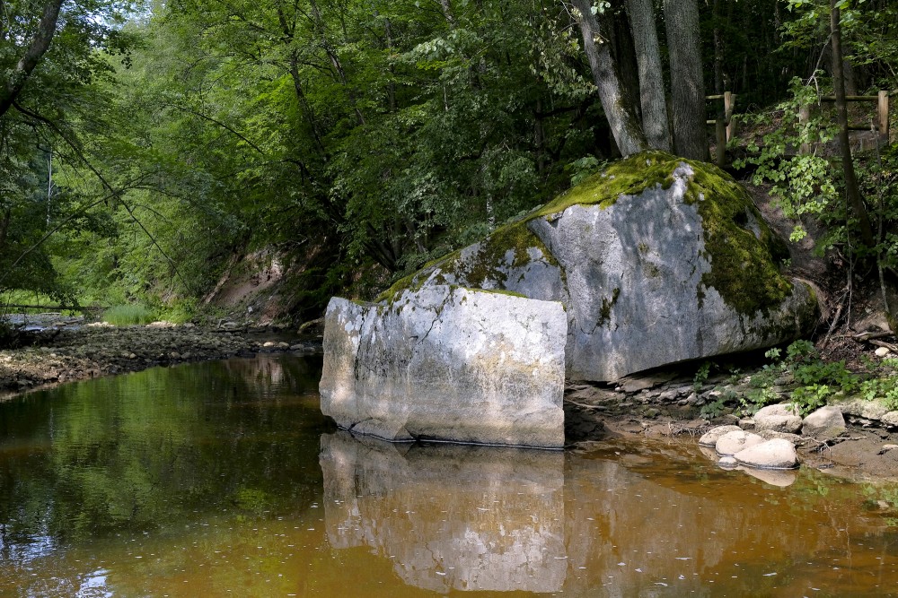Vizla Large Stone