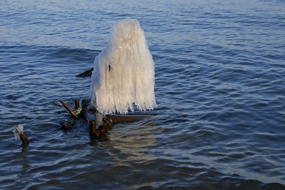 Icicles on a Frozen Tree by the Seashore