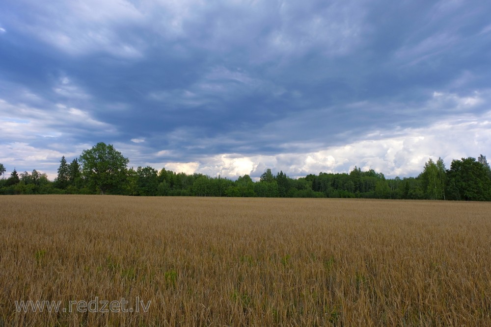 Overcast sky with dark clouds