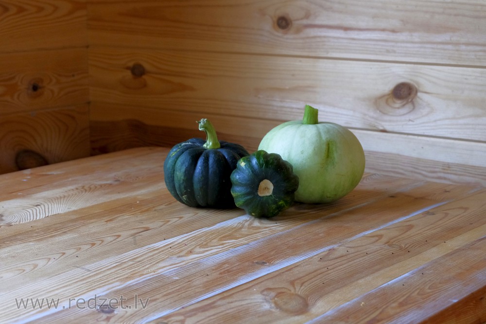 Still Life with Pumpkin