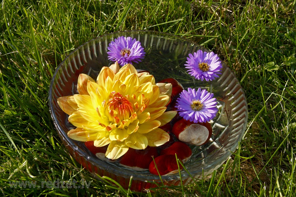 Still Life With flowers