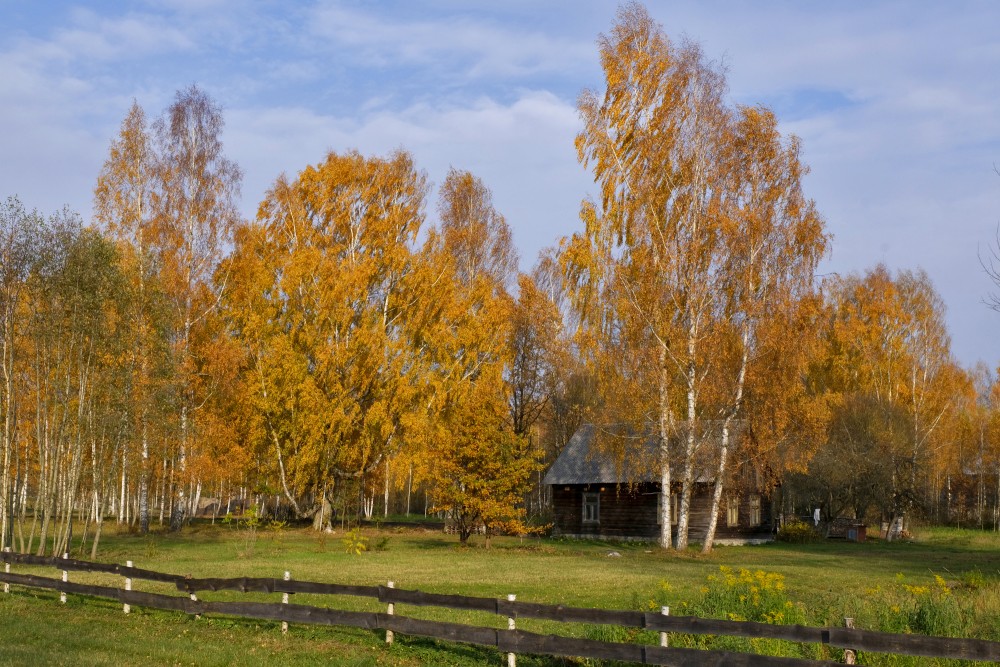 Dzeltenās rudens krāsas lauku sētā