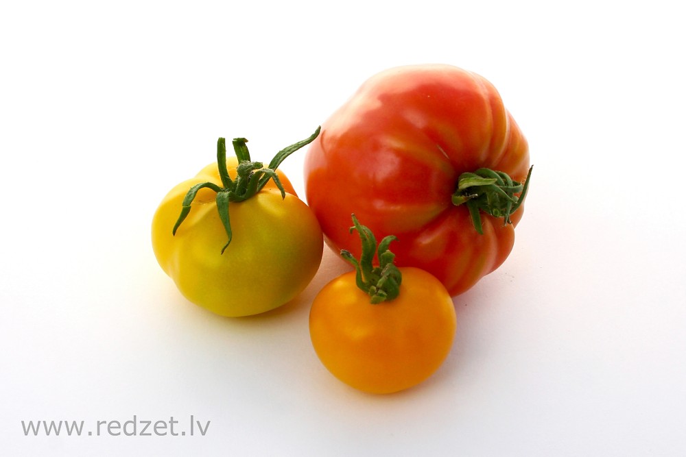Tomato